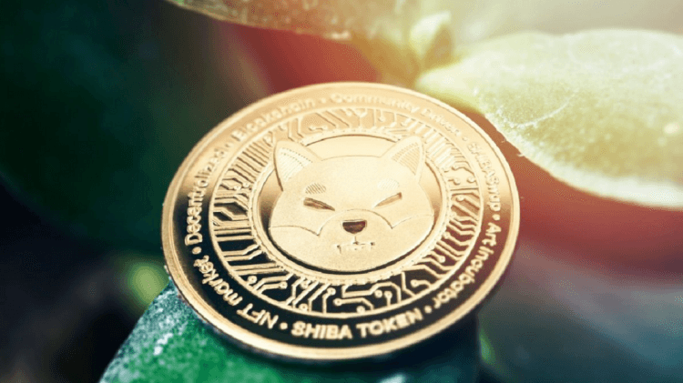 Memecoins: ‘Criptomoedas meme’ já transformaram R$ 1 mil em R$ 1 milhão – investimento vale o risco? Memecoins: ‘Criptomoedas meme’ já transformaram R$ 1 mil em R$ 1 milhão – investimento vale o risco?