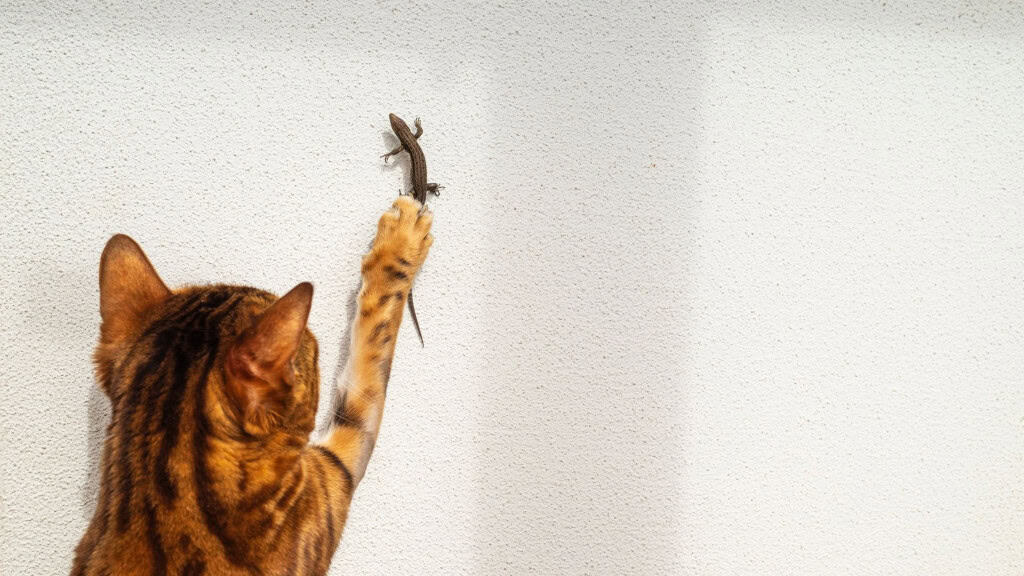 Por que gatos trazem bichos mortos para os tutores? Por que gatos trazem bichos mortos para os tutores?