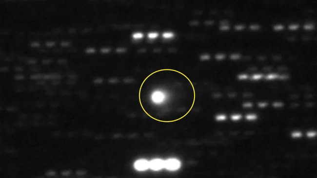 Sonda da NASA poderia investigar cometa interestelar de perto, propõe astrônomo polêmico Sonda da NASA poderia investigar cometa interestelar de perto, propõe astrônomo polêmico