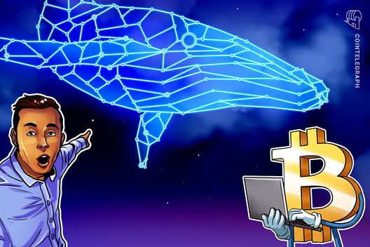 Novas baleias desencadeiam a terceira onda de realização de lucros do Bitcoin no ciclo atual Novas baleias desencadeiam a terceira onda de realização de lucros do Bitcoin no ciclo atual
