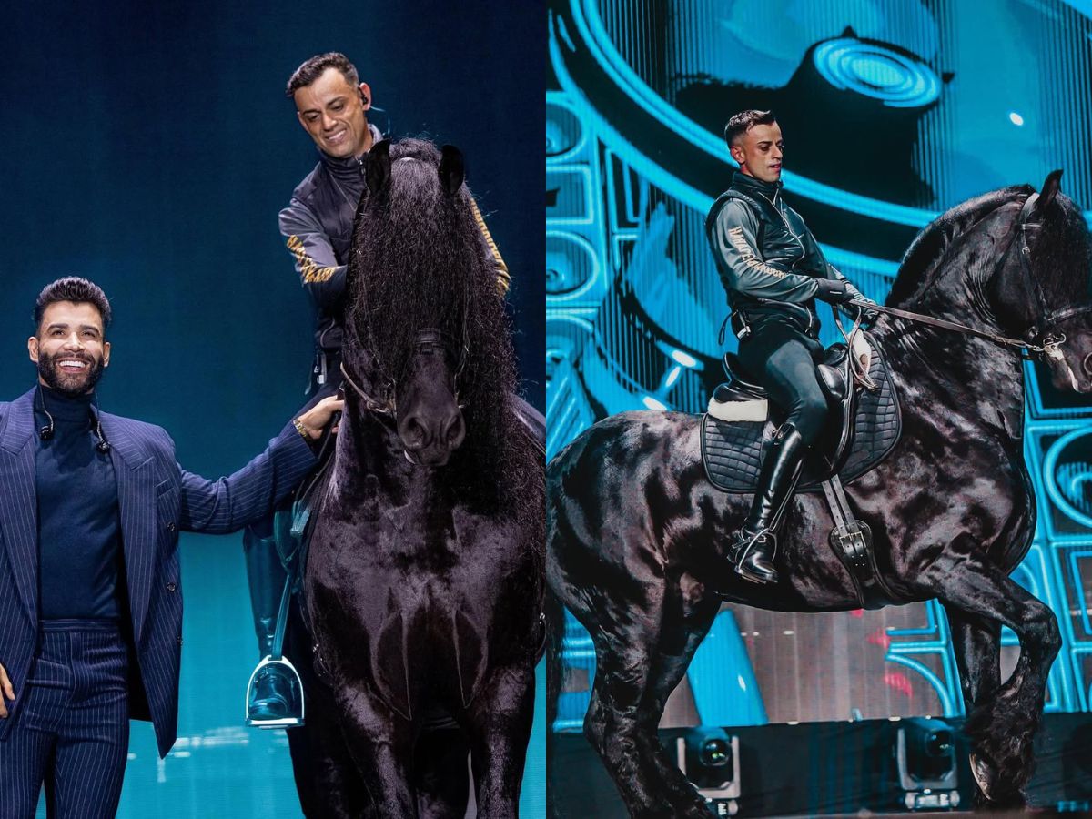 Gusttavo Lima leiloa sociedade de cavalo que brilhou em série da Netflix. Saiba quanto! Gusttavo Lima leiloa sociedade de cavalo que brilhou em série da Netflix. Saiba quanto!