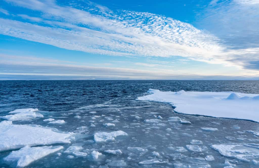 Oceano ártico