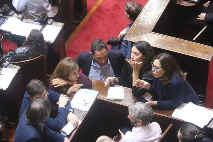 Vetos de Javier Milei: primera reacción en Diputados, que prepara una sesión como respuesta Vetos de Javier Milei: primera reacción en Diputados, que prepara una sesión como respuesta