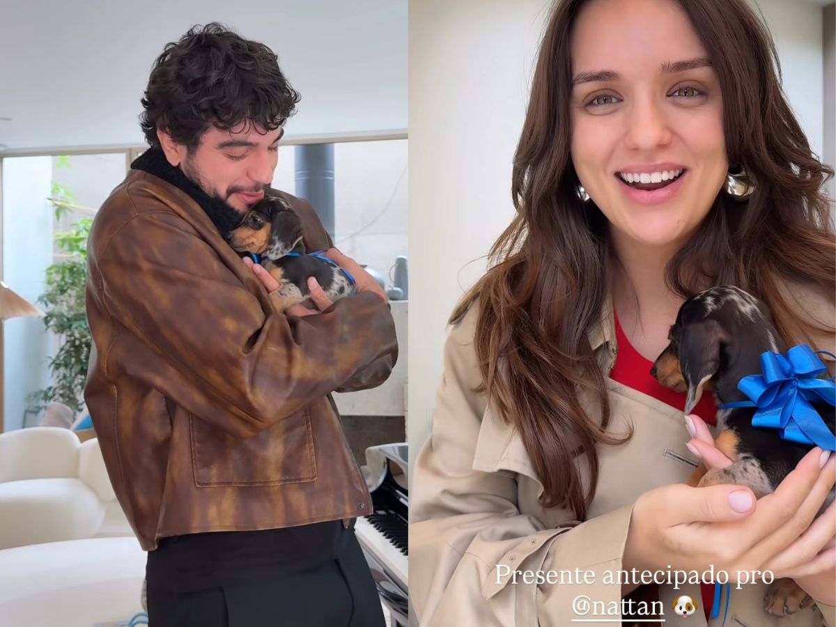 Rafa Kalimann presenteia Nattan com cachorrinho dos sonhos: “Se superou” Rafa Kalimann presenteia Nattan com cachorrinho dos sonhos: “Se superou”